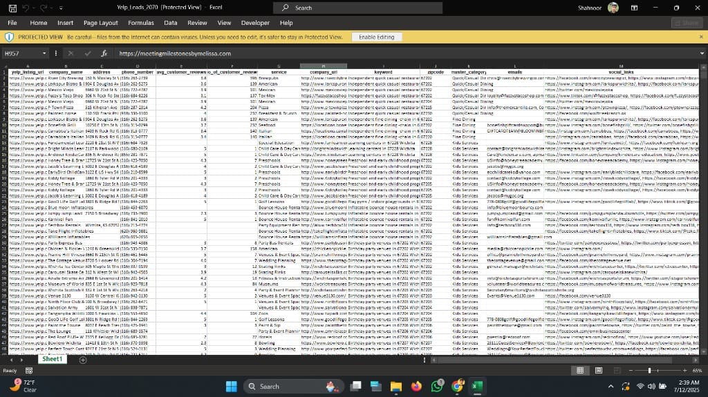 Lead scraper results table